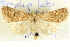  ( - BIOUG04039-B08)  @14 [ ] CreativeCommons - Attribution (2012) CBG Photography Group Centre for Biodiversity Genomics