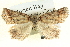  ( - BIOUG04039-B12)  @12 [ ] CreativeCommons - Attribution (2012) CBG Photography Group Centre for Biodiversity Genomics