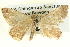  ( - BIOUG04039-D03)  @13 [ ] CreativeCommons - Attribution (2012) CBG Photography Group Centre for Biodiversity Genomics