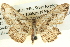  ( - BIOUG04039-E03)  @13 [ ] CreativeCommons - Attribution (2012) CBG Photography Group Centre for Biodiversity Genomics