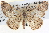  ( - BIOUG04039-E09)  @14 [ ] CreativeCommons - Attribution (2012) CBG Photography Group Centre for Biodiversity Genomics