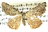  ( - BIOUG04039-G07)  @13 [ ] CreativeCommons - Attribution (2012) CBG Photography Group Centre for Biodiversity Genomics