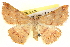  ( - BIOUG04098-A04)  @14 [ ] CreativeCommons - Attribution (2012) CBG Photography Group Centre for Biodiversity Genomics