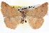  ( - BIOUG04098-A05)  @13 [ ] CreativeCommons - Attribution (2012) CBG Photography Group Centre for Biodiversity Genomics