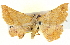  ( - BIOUG04098-A06)  @13 [ ] CreativeCommons - Attribution (2012) CBG Photography Group Centre for Biodiversity Genomics