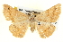  ( - BIOUG04098-A07)  @13 [ ] CreativeCommons - Attribution (2012) CBG Photography Group Centre for Biodiversity Genomics