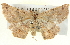  ( - BIOUG04098-B03)  @13 [ ] CreativeCommons - Attribution (2012) CBG Photography Group Centre for Biodiversity Genomics