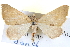  ( - BIOUG04098-D03)  @14 [ ] CreativeCommons - Attribution (2012) CBG Photography Group Centre for Biodiversity Genomics