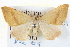  ( - BIOUG04098-D04)  @12 [ ] CreativeCommons - Attribution (2012) CBG Photography Group Centre for Biodiversity Genomics