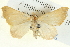  ( - BIOUG04098-D05)  @12 [ ] CreativeCommons - Attribution (2012) CBG Photography Group Centre for Biodiversity Genomics