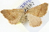  ( - BIOUG04098-E02)  @12 [ ] CreativeCommons - Attribution (2012) CBG Photography Group Centre for Biodiversity Genomics