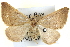  ( - BIOUG04098-E11)  @13 [ ] CreativeCommons - Attribution (2012) CBG Photography Group Centre for Biodiversity Genomics