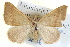  ( - BIOUG04098-F02)  @14 [ ] CreativeCommons - Attribution (2012) CBG Photography Group Centre for Biodiversity Genomics