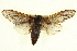 ( - BIOUG04098-G04)  @14 [ ] CreativeCommons - Attribution (2012) CBG Photography Group Centre for Biodiversity Genomics