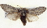  ( - BIOUG04098-G10)  @14 [ ] CreativeCommons - Attribution (2012) CBG Photography Group Centre for Biodiversity Genomics