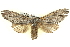 ( - BIOUG04099-B05)  @14 [ ] CreativeCommons - Attribution (2012) CBG Photography Group Centre for Biodiversity Genomics