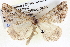  ( - BIOUG04099-H11)  @13 [ ] CreativeCommons - Attribution (2012) CBG Photography Group Centre for Biodiversity Genomics