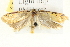  ( - BIOUG04109-A03)  @12 [ ] CreativeCommons - Attribution (2012) CBG Photography Group Centre for Biodiversity Genomics