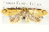  ( - BIOUG04109-A04)  @12 [ ] CreativeCommons - Attribution (2012) CBG Photography Group Centre for Biodiversity Genomics