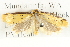  ( - BIOUG04109-A05)  @12 [ ] CreativeCommons - Attribution (2012) CBG Photography Group Centre for Biodiversity Genomics