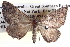  ( - BIOUG04109-A12)  @13 [ ] CreativeCommons - Attribution (2012) CBG Photography Group Centre for Biodiversity Genomics