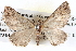  ( - BIOUG04109-B02)  @14 [ ] CreativeCommons - Attribution (2012) CBG Photography Group Centre for Biodiversity Genomics