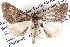  ( - BIOUG04109-B07)  @13 [ ] CreativeCommons - Attribution (2012) CBG Photography Group Centre for Biodiversity Genomics