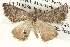  ( - BIOUG04109-C01)  @13 [ ] CreativeCommons - Attribution (2012) CBG Photography Group Centre for Biodiversity Genomics