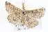  ( - BIOUG04109-H02)  @13 [ ] CreativeCommons - Attribution (2012) CBG Photography Group Centre for Biodiversity Genomics