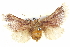  ( - BIOUG04193-D04)  @14 [ ] CreativeCommons - Attribution (2012) CBG Photography Group Centre for Biodiversity Genomics