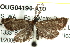  ( - BIOUG04194-A10)  @13 [ ] CreativeCommons - Attribution (2012) CBG Photography Group Centre for Biodiversity Genomics