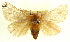  ( - BIOUG04194-C05)  @14 [ ] CreativeCommons - Attribution (2012) CBG Photography Group Centre for Biodiversity Genomics