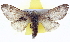  ( - BIOUG04194-E04)  @13 [ ] CreativeCommons - Attribution (2012) CBG Photography Group Centre for Biodiversity Genomics