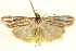  ( - BIOUG04194-G04)  @13 [ ] CreativeCommons - Attribution (2012) CBG Photography Group Centre for Biodiversity Genomics