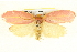  ( - BIOUG04194-H04)  @13 [ ] CreativeCommons - Attribution (2012) CBG Photography Group Centre for Biodiversity Genomics