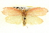  ( - BIOUG04194-H05)  @13 [ ] CreativeCommons - Attribution (2012) CBG Photography Group Centre for Biodiversity Genomics