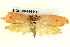  ( - BIOUG04194-H11)  @11 [ ] CreativeCommons - Attribution (2012) CBG Photography Group Centre for Biodiversity Genomics