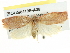  ( - BIOUG04195-A09)  @12 [ ] CreativeCommons - Attribution (2013) CBG Photography Group Centre for Biodiversity Genomics