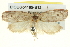  ( - BIOUG04195-B12)  @12 [ ] CreativeCommons - Attribution (2013) CBG Photography Group Centre for Biodiversity Genomics