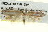  ( - BIOUG04195-C01)  @12 [ ] CreativeCommons - Attribution (2013) CBG Photography Group Centre for Biodiversity Genomics