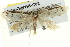  ( - BIOUG04195-C02)  @12 [ ] CreativeCommons - Attribution (2013) CBG Photography Group Centre for Biodiversity Genomics