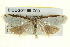  ( - BIOUG04195-C03)  @12 [ ] CreativeCommons - Attribution (2013) CBG Photography Group Centre for Biodiversity Genomics