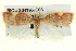  ( - BIOUG04195-C06)  @11 [ ] CreativeCommons - Attribution (2013) CBG Photography Group Centre for Biodiversity Genomics
