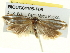  ( - BIOUG04195-F06)  @13 [ ] CreativeCommons - Attribution (2013) CBG Photography Group Centre for Biodiversity Genomics