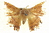  ( - BIOUG04226-G08)  @13 [ ] CreativeCommons - Attribution (2012) CBG Photography Group Centre for Biodiversity Genomics