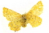  ( - BIOUG04226-G09)  @14 [ ] CreativeCommons - Attribution (2012) CBG Photography Group Centre for Biodiversity Genomics