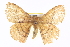  ( - BIOUG04226-G10)  @15 [ ] CreativeCommons - Attribution (2012) CBG Photography Group Centre for Biodiversity Genomics