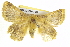  (Anthela callixantha - BIOUG04226-H01)  @15 [ ] CreativeCommons - Attribution (2012) CBG Photography Group Centre for Biodiversity Genomics