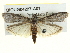  ( - BIOUG04227-A01)  @14 [ ] CreativeCommons - Attribution (2013) CBG Photography Group Centre for Biodiversity Genomics