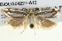  ( - BIOUG04227-A12)  @12 [ ] CreativeCommons - Attribution (2013) CBG Photography Group Centre for Biodiversity Genomics